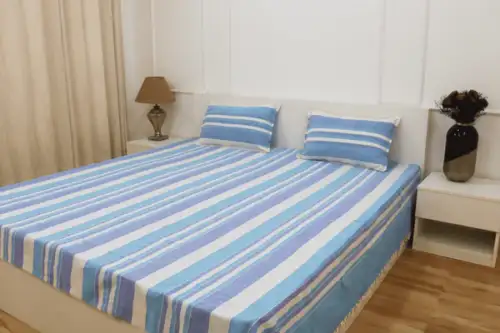 Classic-Lines-Blue-White-Bedsheet